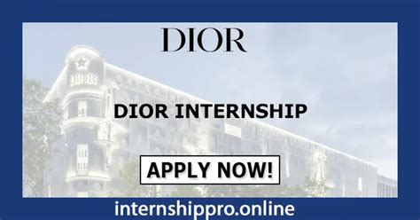 dior summer internship 2022|dior mentorship programs.